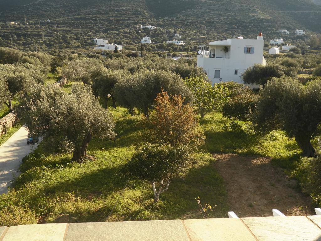 Villa Perivoli Platis Gialos  المظهر الخارجي الصورة